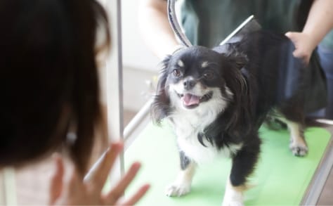お迎え